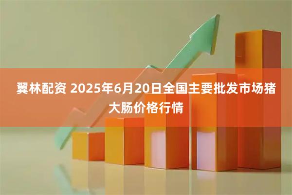 翼林配资 2025年6月20日全国主要批发市场猪大肠价格行情