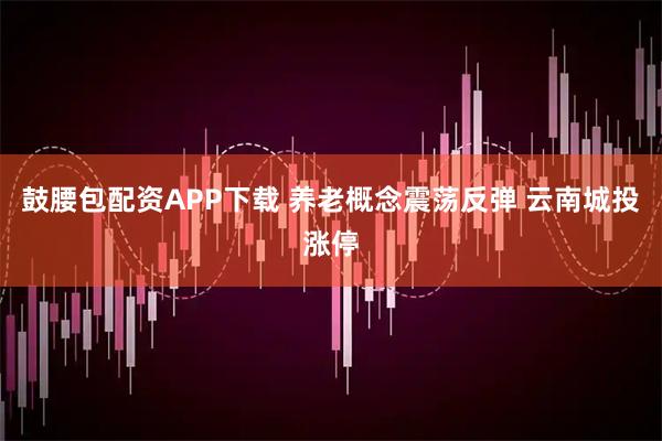鼓腰包配资APP下载 养老概念震荡反弹 云南城投涨停