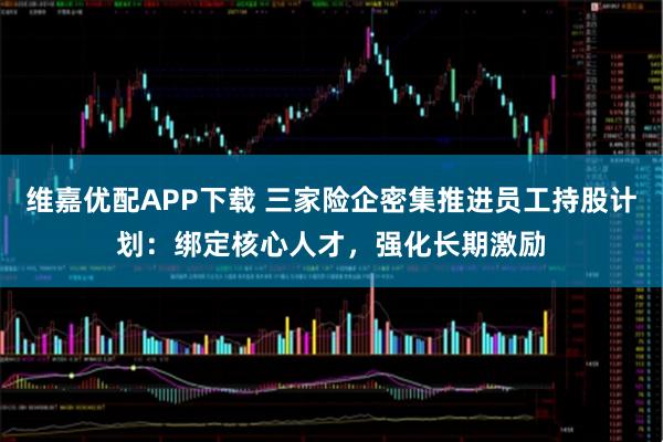 维嘉优配APP下载 三家险企密集推进员工持股计划:绑定核心人才,强化长期激励