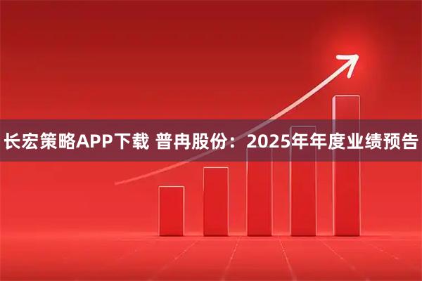 长宏策略APP下载 普冉股份：2025年年度业绩预告