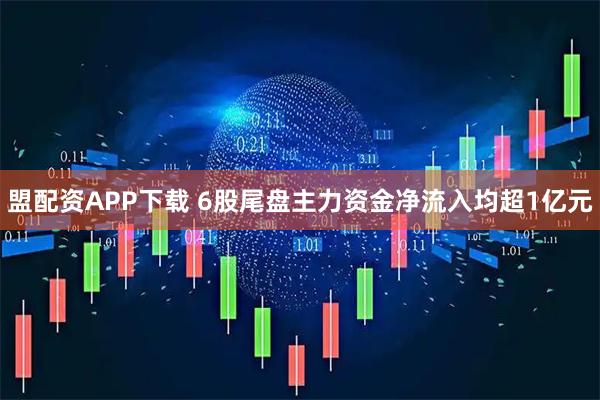 盟配资APP下载 6股尾盘主力资金净流入均超1亿元