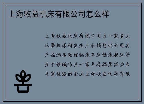 上海牧益机床有限公司怎么样